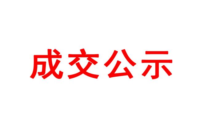 洛陽軸承研究所有限公司伊濱區(qū)配件中心廠房和4#廠房起重機項目成交結果公告